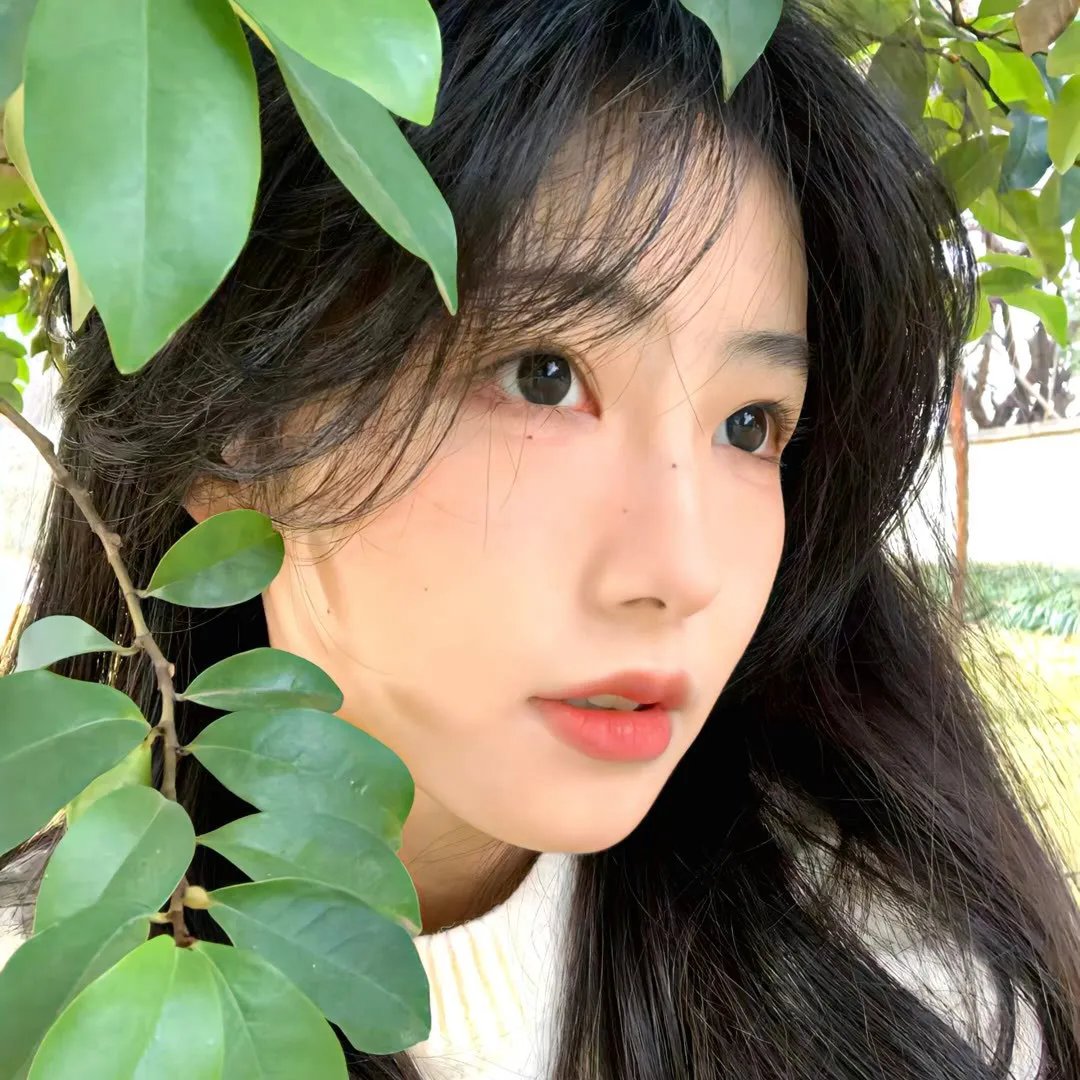 一米阳光 在线观看